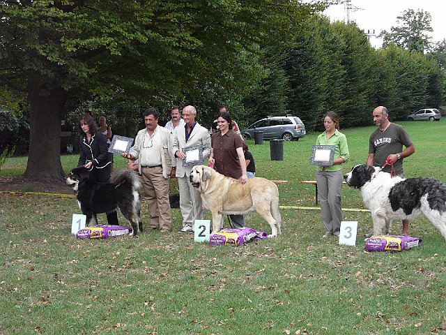 img 250.jpg